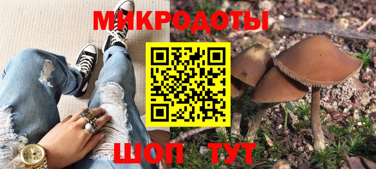 Галлюциногенные грибы Psilocybine cubensis  Вход с VPN  Донецк  Псилоцибиновые грибы Cubensis 