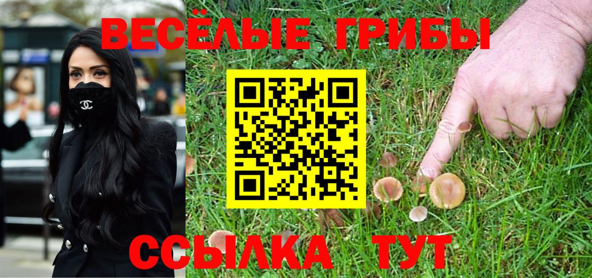 Галлюциногенные грибы Psilocybe Донецк